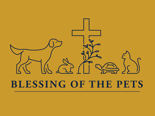 Blessing Of Pets Web