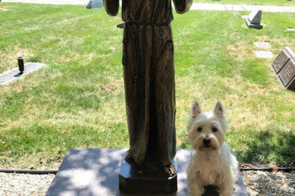 Stella And St Francis